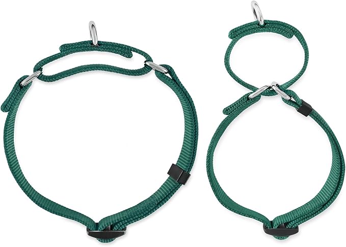 Hyhug Martingale Collar for Dogs Large Green |Escape - Proof Heavy Duty Nylon Durable No Pull, Ideal for Training & Daily Walks