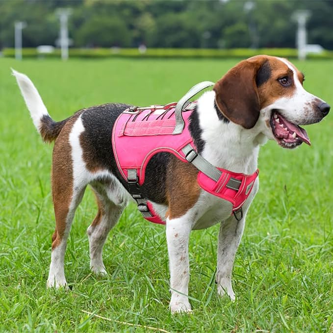 CBBPET Tactical Dog Harness for Small Medium Large Dogs No Pull Adjustable Harness Training Easy Control Pet Vest,Reflective Working Training (Rose Red M(Neck:17-26,Chest:24-36))