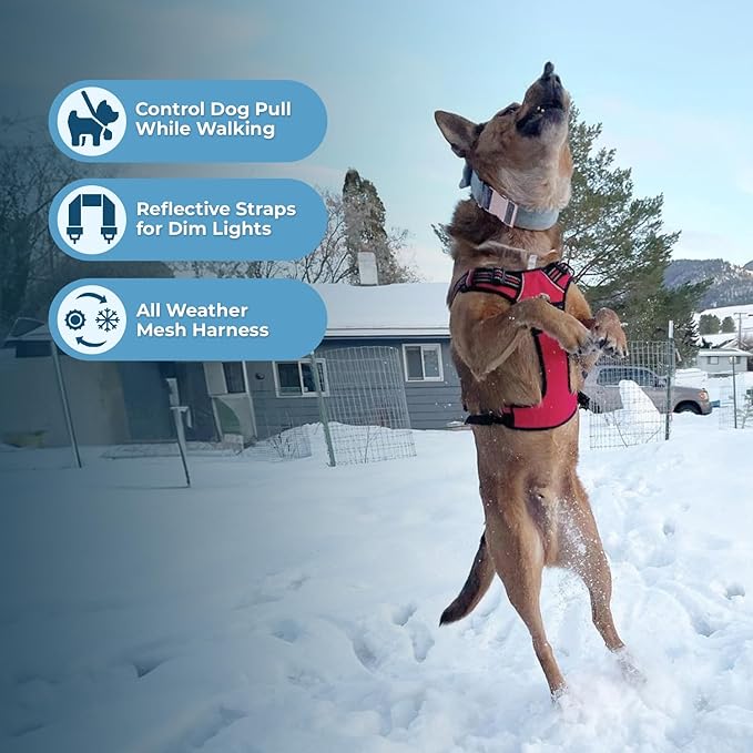 Voyager Dog Harness Dual Leash Attachment No-Pull Control Adjustable Soft but Strong Pet Harness for Medium and Large Dogs with 3M Reflective Technology, Red Lattice Nylon, M (Chest: 20-25")