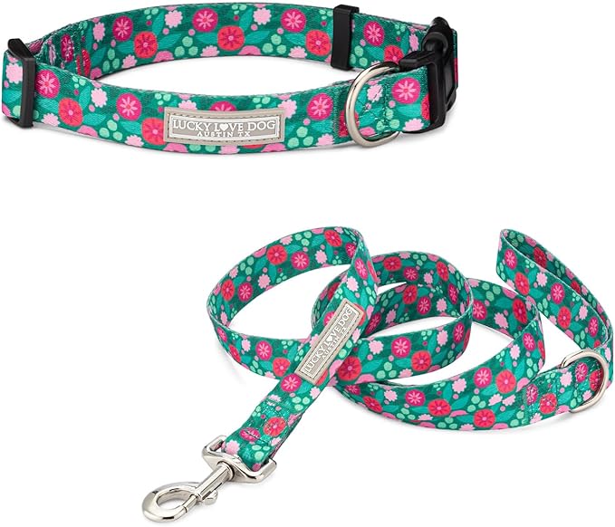 Lucky Love Dog - Adjustable Dog Collar and Leash Set with Easy Click Buckle for Small Dogs, Durable, & Comfortable Collar for Male & Female Dogs, Puppies & Adult Ones - Penny Combo, Small
