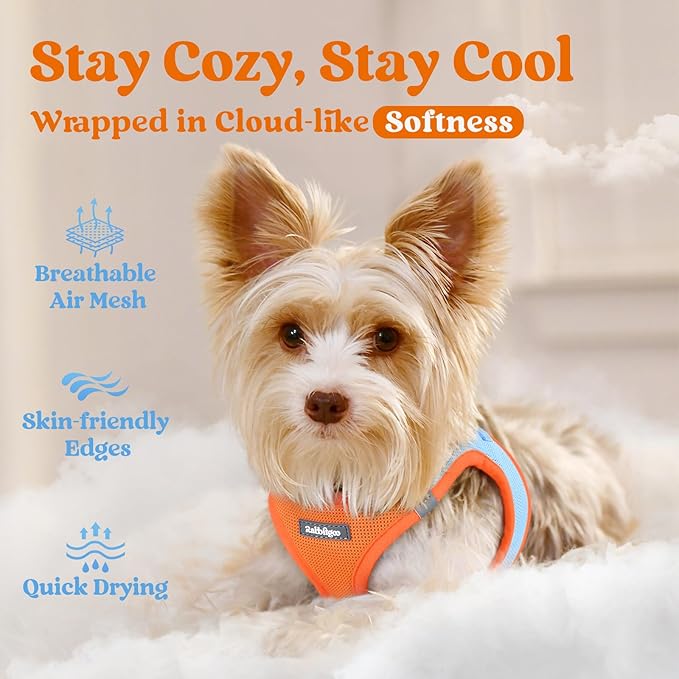 rabbitgoo Small Dog Harness, Step-in Soft Mesh Puppy Vest with Safety Buckle, Breathable Reflective Pet Harness for Small Sized Dogs, Blue & Orange XS