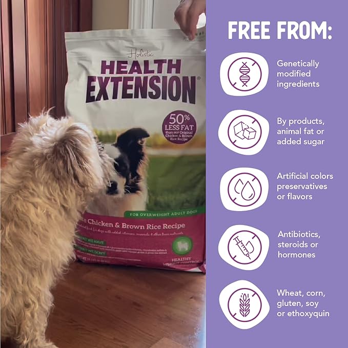 Health Extension Lite Chicken & Brown Rice Dry Dog Food, Low Fat Formula Supports Healthy Weight, with Probiotics & Superfoods for Digestion & Coat Health (1 lb)