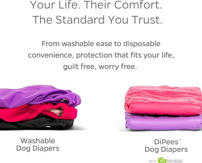 Pet Parents® Washable Dog Diapers (3pack) + Extendrs® of Durable Doggie Diapers, Premium Dog Diapers Female (X-Small, Southern Belle)