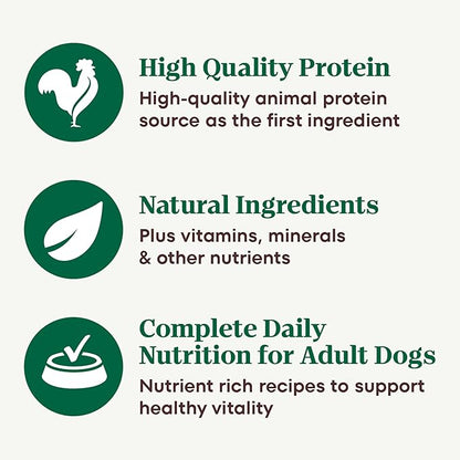 Nutro Hearty Stew Canned Wet Dog Food, Natural Grain Free Dog Food Wet Cuts in Gravy Roasted Turkey with Green Bean & Sweet Potato Stew, 12.5 oz. Cans (12 Count, Pack of 2)