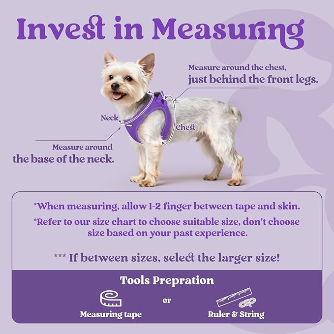 rabbitgoo Small Dog Harness, Step-in Soft Mesh Puppy Vest with Safety Buckle, Breathable Reflective Pet Harness for Small Medium Dogs, Purple L