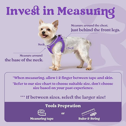 rabbitgoo Small Dog Harness, Step-in Soft Mesh Puppy Vest with Safety Buckle, Breathable Reflective Pet Harness for Small Sized Dogs, Purple XS