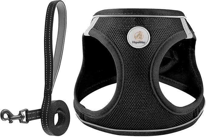 Hipubby Dog Harness and Leash Set, No Pull Soft Mesh Puppy Harness for Small Medium Dogs, Cats - Step in Adjustable Reflective Pet Harness with Buckle and Double D-Rings - Black, XS
