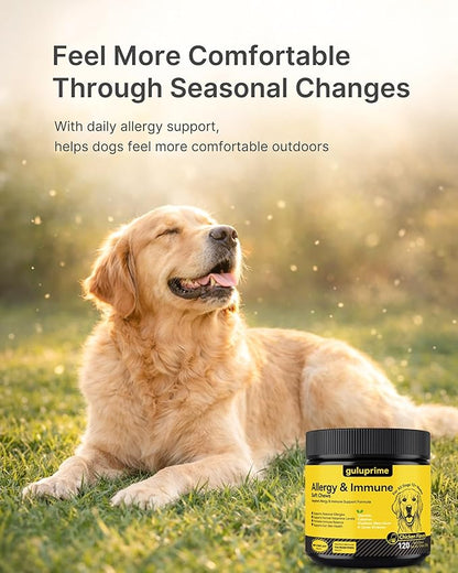 Dog Allergy Relief Chews Allergy & Immune Support for Dogs, Seasonal Allergy Support, Supports Immune Balance & Skin Comfort, Gut Health Soft Chews