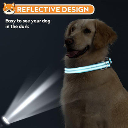 Reflective Dog Collar, Adjustable Soft Neoprene Padded Nylon Pet Collars with Buckle for Puppy and Small Dogs, Cats, Sky Blue,XS