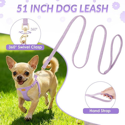 SlowTon Dog Harness Small Sized Dog - Soft XXS Dog Harness and Leash Set No Pull No Chock, Adjustable Lightweight Puppy Harness for XS Small Medium Dogs Cats (Solid Purple, XS)