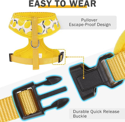 SCENEREAL Small Dog Harness and Leash Collar Set - No Pull Dog Harness for Small & Medium Sized Dogs - Soft Mesh Vest for Puppies, Chihuahua, Yorkie, Spring Summer Hiking Walking, Yellow Lemon S
