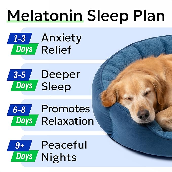 BARK&SPARK Calming Melatonin for Dogs Sleep - 6mg Melatonin Chews for Small & Large Dogs Calm Aid - Calming Treats for Stress Anxiety Relief - Melatonin Chewable Pills & Tablets Puppies - Bacon