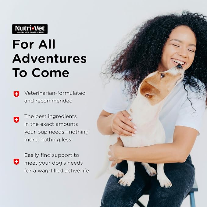 Nutri-Vet Pet-Ease Soft Chews for Dogs, Vet Formulated with Chamomile & Tryptophan to Soothe and Calm During Storms, Separation Anxiety, and Loud Noises, Dog Calming Supplement, 6.0 oz