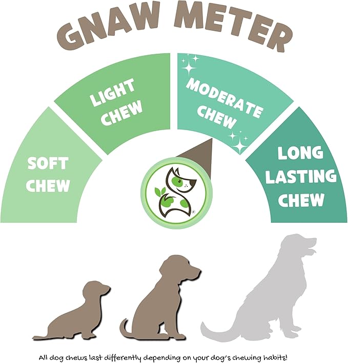 Nature Gnaws Beef Trachea Chews for Dogs 3" (12 Count) - Long Lasting Natural Crunchy Dog Chew Bones - Rawhide Free (Pack of 2)