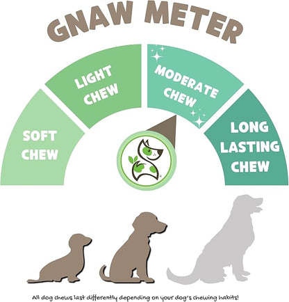 Nature Gnaws Beef Trachea Chews for Dogs 3" (12 Count) - Long Lasting Natural Crunchy Dog Chew Bones - Rawhide Free (Pack of 2)