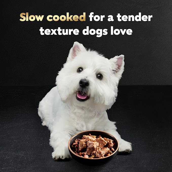 Cesar Wet Dog Food Steak Lovers Variety Pack, Adult, Wet Food for Dogs with Real Meat, 3.5 oz Easy Peel Trays, 24 Count