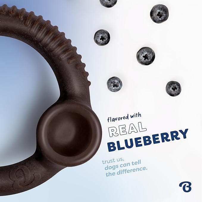 Benebone Ring Durable Dog Chew Toy for Aggressive Chewers – Limited Edition Blueberry Flavor, Small