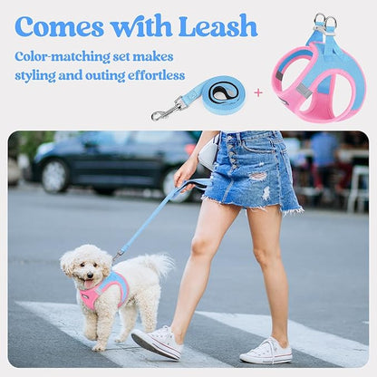 rabbitgoo Dog Harness Small Medium Sized and Leash Set, Step in Soft Light Puppy Vest, Breathable Mesh Pet Harness, Reflective for Safe Easy Walking, Blue & Light Pink L