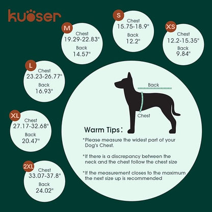 Kuoser Dog Surgery Recovery Suit, Thigh Wound Protective Sleeve for Dogs, Dog Recovery Sleeve for Female Male Dogs, Pet Surgical Suit for Spay Neuter, Dog Onesie After Surgery, Gray S