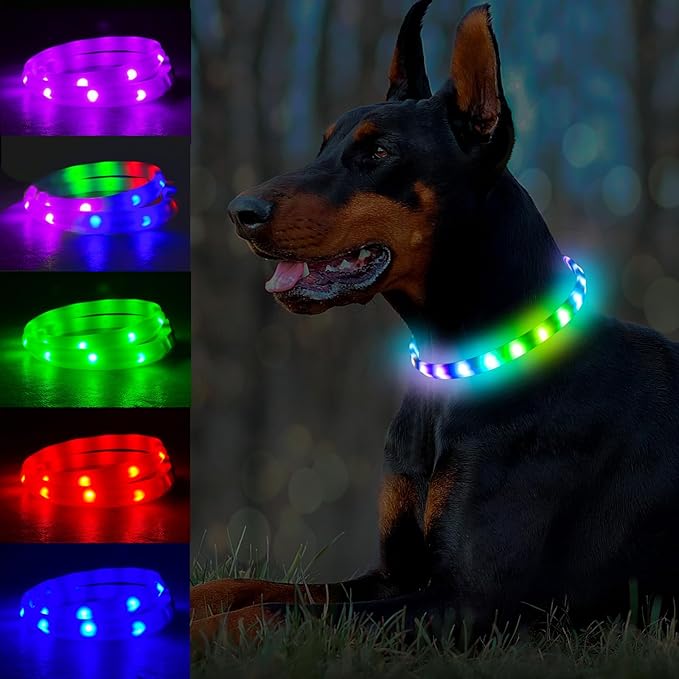 Light Up Dog Collar Multicolor LED USB C Rechargeable, Glow in The Dark Collar for Night Walking, Cuttable for Large Medium Small Dogs Pet (Multicolor Dog Collar)