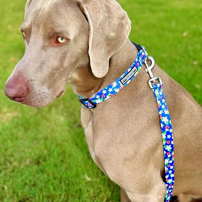Lucky Love Dog - Easy Click Buckle Dog Collar with Leash Set Combo, Durable & Comfortable for Male & Female Dogs, Pet Collar for Small Dogs, Secure Fit - Lilian Combo, Small