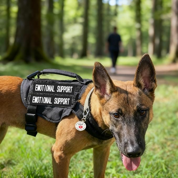 ESA Patch 2 pcs, ESA ID Tag Easily Attach to Dog Collar, Harness (Medium)