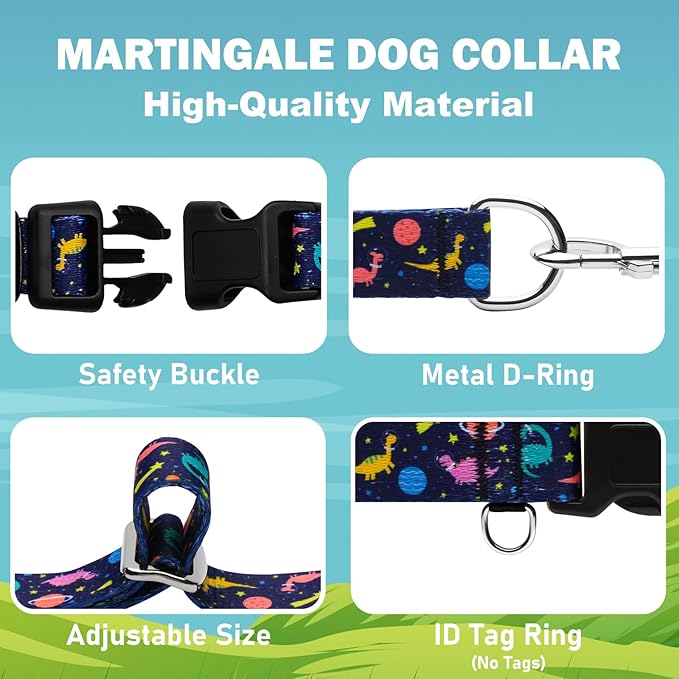 Martingale Collar for Dogs with Buckle No Pull Adjustable Nylon Limited Slip Training Dog Collars (Blue Dinosaur, Large)