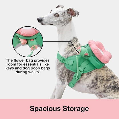 VETRESKA Flora Dog Harness, Leash and Collar Set, No Pull Dog Vest Harness for Walking and Training, Adjustable, Easy Control and Soft Padded Pet Harness and Backpack for Small Medium Large Dogs, XS