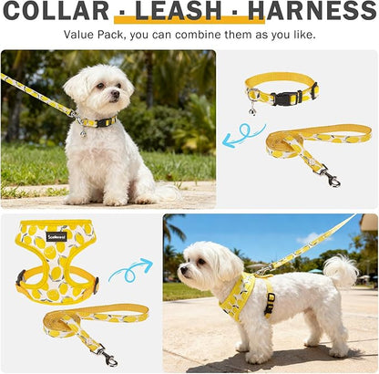 SCENEREAL Small Dog Harness and Leash Collar Set - No Pull Dog Harness for Small & Medium Sized Dogs - Soft Mesh Vest for Puppies, Chihuahua, Yorkie, Spring Summer Hiking Walking, Yellow Lemon XS