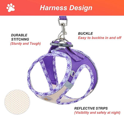 Hipubby Dog Harness Small Sized and Leash Set, No Pull Soft Mesh Puppy Vest, Reflective Breathable Lightweight Pet Harness, Harness for Small Medium Dogs and Cats - Purple/White Trim, L