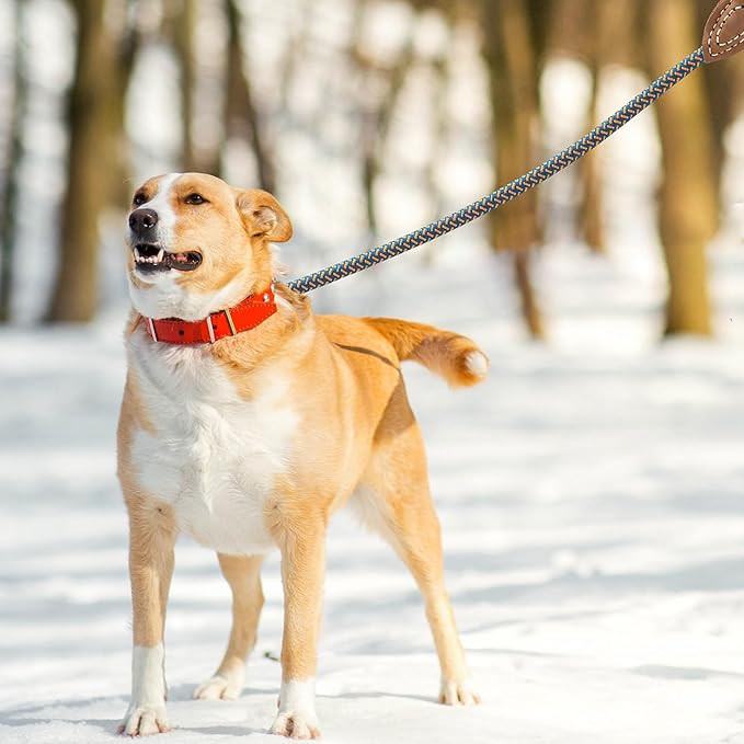 Mile High Life Rope Leash with Genuine Leather Connection, 6 FT/5 FT/4 FT, Heavy Duty Dog Leash for Medium & Large Dogs (Peacock Blue, 60Inch)