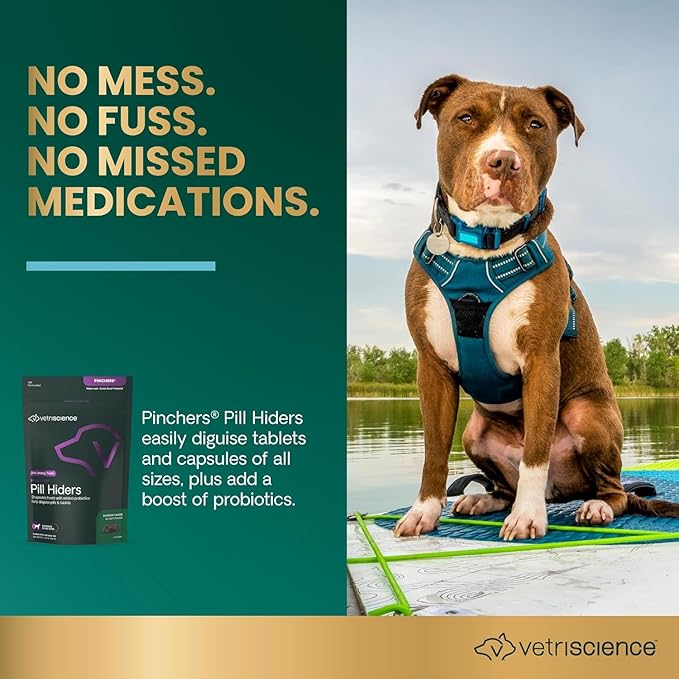VetriScience Pinchers Pill Hiders Chews, Non-Greasy with Probiotics for Dogs, Disguise Small Capsules and Tablets, Soft and Chewy, Gut and Immune Support, Chicken, 45 Count