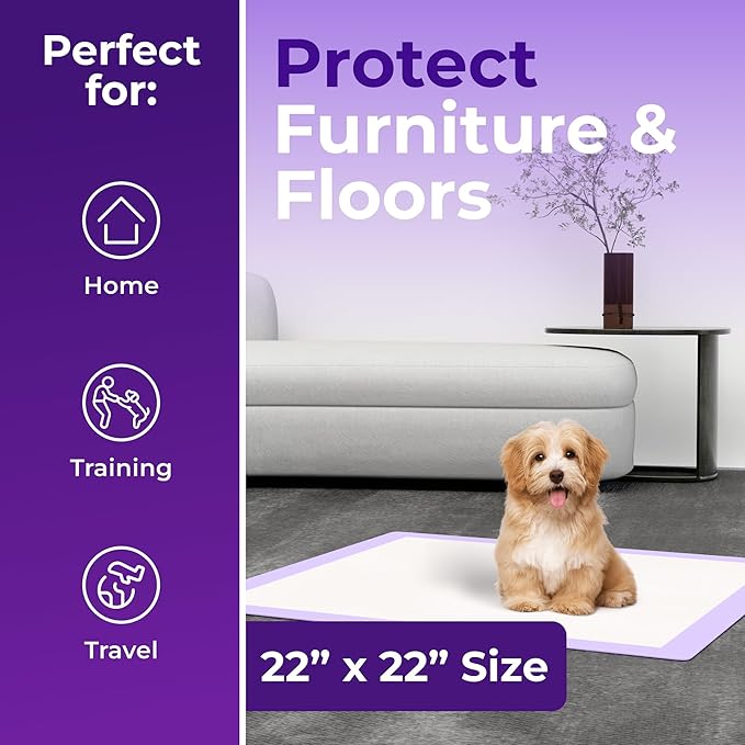 GREEN LIFESTYLE Pee Pads - Super Absorbent & Leak-Proof Pee Pads for Dogs - Puppy Pads - Waterproof Dog Pads, Dog Training Pads for Cats, Rabbits (Pack of 80 - 22x22)