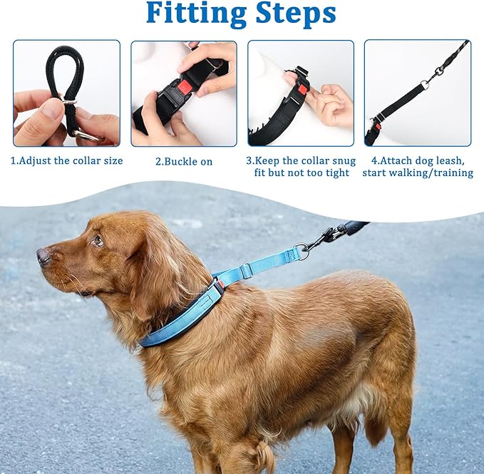 Mayerzon No Pull Dog Collar, Patented Martingale Collar for Small Medium Large Dogs with Buckle and Heavy Duty Nylon for Walking Training Hunting, Safe and Easy to Use(M, Blue)
