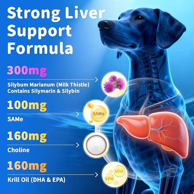 Senior Dog Liver & Joint Supplement – Same, Milk Thistle (Silybin), Glucosamine, MSM for Liver Health Detox, Mobility, Joint Pain Support, Cognitive & Vitality Support, Beef Flavor, 90Ct