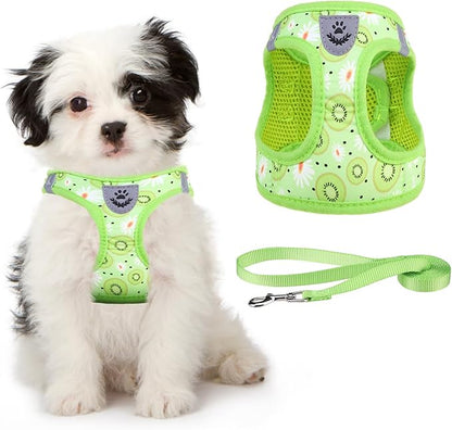 KOOLTAIL Dog Harness and Leash Set for Small Medium Dogs, Step in No Pull Soft Mesh Dog Harness Comfort Padded Pet Vest, Adjustable Reflective Easy Walking Puppy Cats Harness Training, Kiwifruit XS