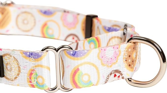 Downtown Pet Supply - Martingale Collar for Dogs - Dog Training Collar - Big, Wide & Thick Dog Collar - Escape-Proof, Weatherproof, Durable and Comfortable - Donut - Small Dog Collar