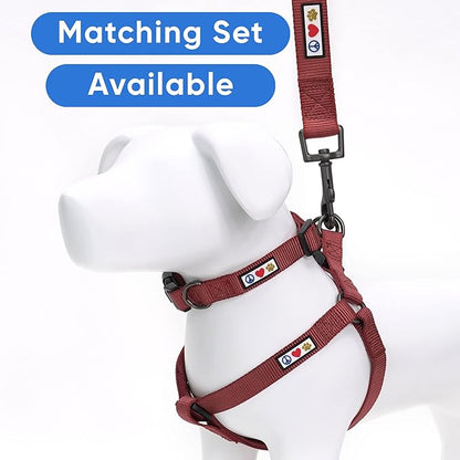 Pawtitas Solid 6 ft Marsala Dog Leash XS/S Custom Name and Phone Embroidery Strong Nylon Leash for Small Breeds