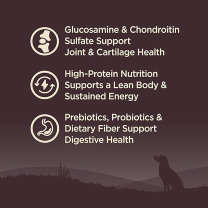 Wellness CORE Senior Dry Dog Food, Grain-Free, High Protein, Natural, Age Advantage Turkey & Chicken Recipe, (12-Pound Bag)