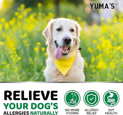 2-Pack Dog Allergy Relief Chews - Dog Itching Skin Relief Treatment Pills - Anti-Itch Chewables - Itchy and Paw Licking - Hot Spots - Omega 3 Fish Oil - Dry Skin & Coat Supplement