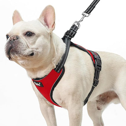 PUPTECK Dog Harness and Leash Set Medium Sized, Adjustable Reflective Escape Proof Puppy Vest, No Pull Walking Harness Easy Control