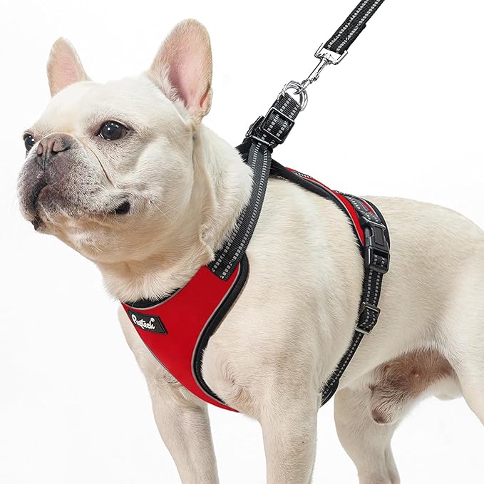 PUPTECK Dog Harness and Leash Set Small Sized, Adjustable Reflective Escape Proof Puppy Vest, No Pull Walking Harness Easy Control