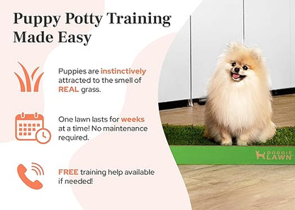 DoggieLawn Real Grass Puppy Pee Pads- 24 x 16 Inches - Perfect Indoor Litter Box for Dogs - No Mess, Easy-to-Use - Potty Training for Pets - Eco-Friendly Disposable Bathroom with Real Living Grass