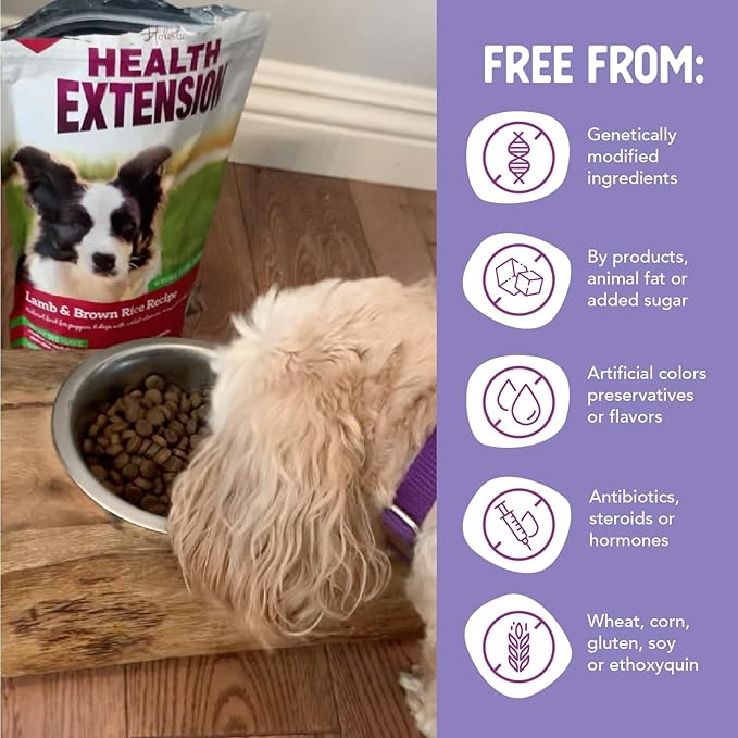 Health Extension Lamb & Brown Rice Dry Dog Food, Protein Packed Formula with Probiotics & Superfoods for Digestion & Coat Health (4 lb)