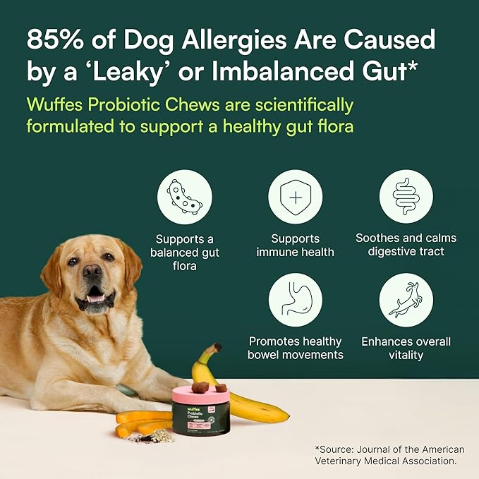 Wuffes Daily Probiotic for Dogs - Supports Digestive Health, Gut Balance, and Immune System - with Prebiotics, Marshmallow Root, and Pumpkin Powder (120 Chews (Pack of 2))