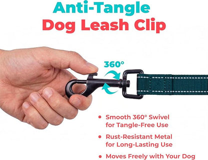 Best Pet Supplies Voyager Reflective Dog Leash or Collar with Neoprene Handle, for Small, Medium, and Large Breed Puppies, Cute and Heavy Duty for Walking, Running and Training - Blue (Leash), M