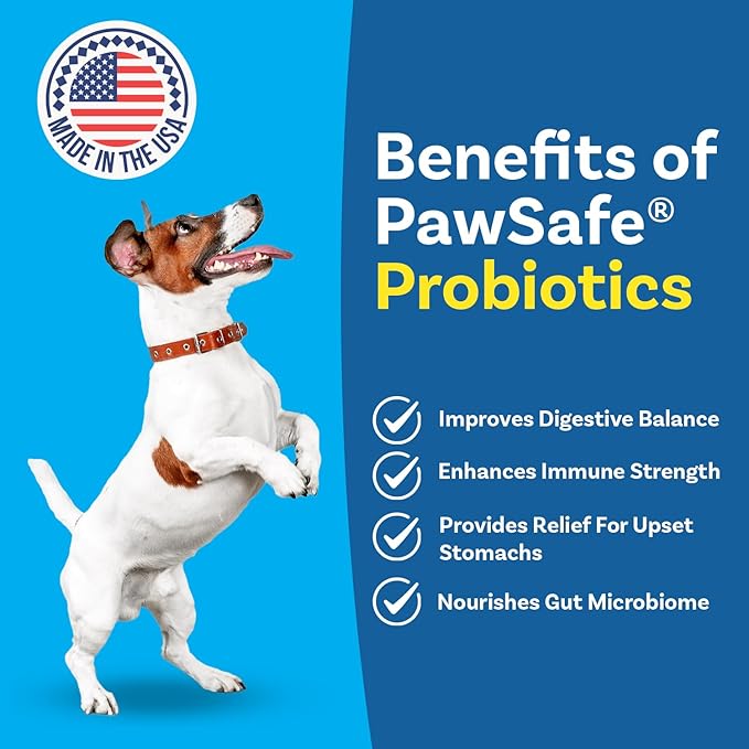 PawSafe® Dog Probiotics Soft Chews for Picky Eaters - USA Made, 120 Count - Digestive & Gut Health, Diarrhea, Gas Relief, Allergy & Itchy Skin Support - Natural with Pumpkin - Honey Chicken Flavor