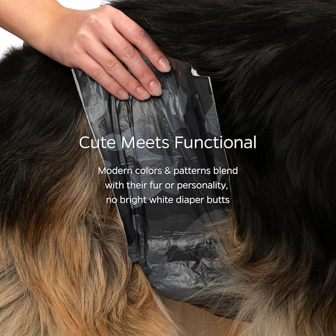 Pet Parents® DiPees® Disposable Belly Bands for Male Dogs + Extendrs®, Male Dog Wraps, Leak Proof, Up to 83% Plant Based, Premium Disposable Dog Diapers Male (Grey, Medium (16-24"), 10ct)