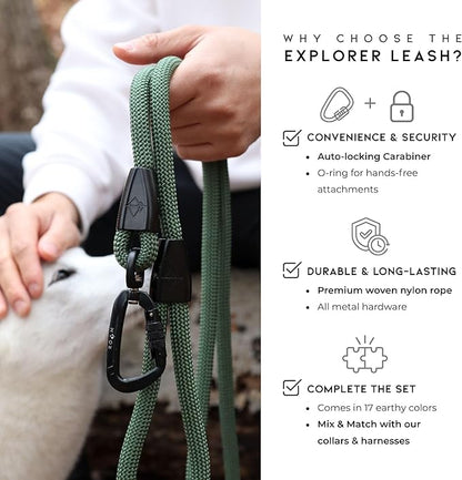 MADE TO ROAM Premium Explorer Leash - Climbing Rope Leash with Autolocking Aviation Aluminum Carabiner - Virginia Mountains, 4ft