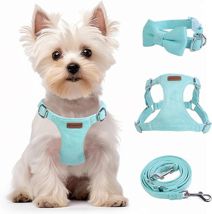 Dog Harness and Leash Set, XXS No Pull Adjustable Puppy Harness with Multifunction Pink Dog Leash and Dog Collar, Soft No Choke Escape Proof Pet Harness Vest for Small Dogs and Cats (Mint Green, XXS)